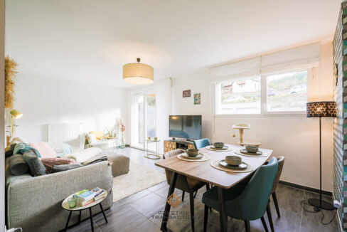 immobilier-grenoble-1