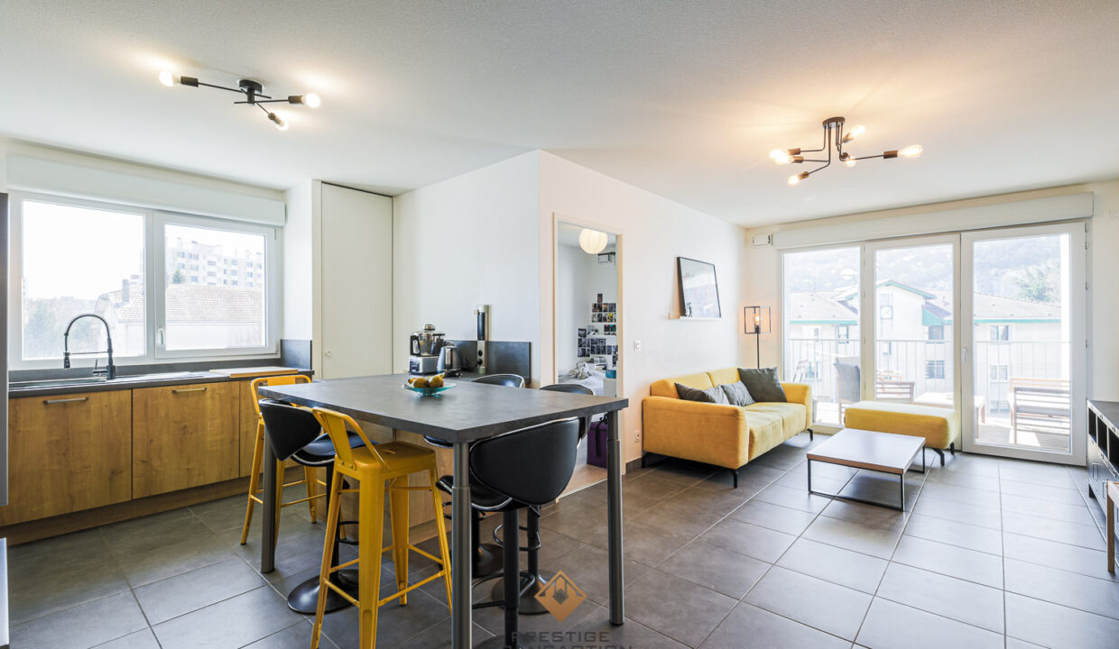 immobilier-grenoble-1