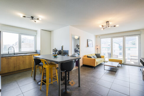 immobilier-grenoble-1