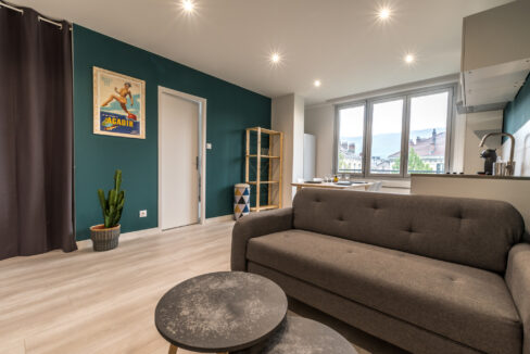 immobilier-grenoble-1