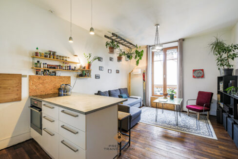 immobilier-grenoble-1