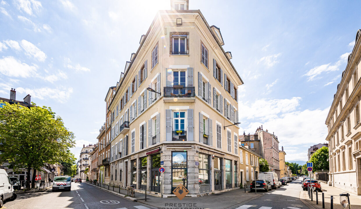 immobilier-grenoble-10