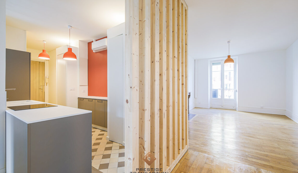 immobilier-grenoble