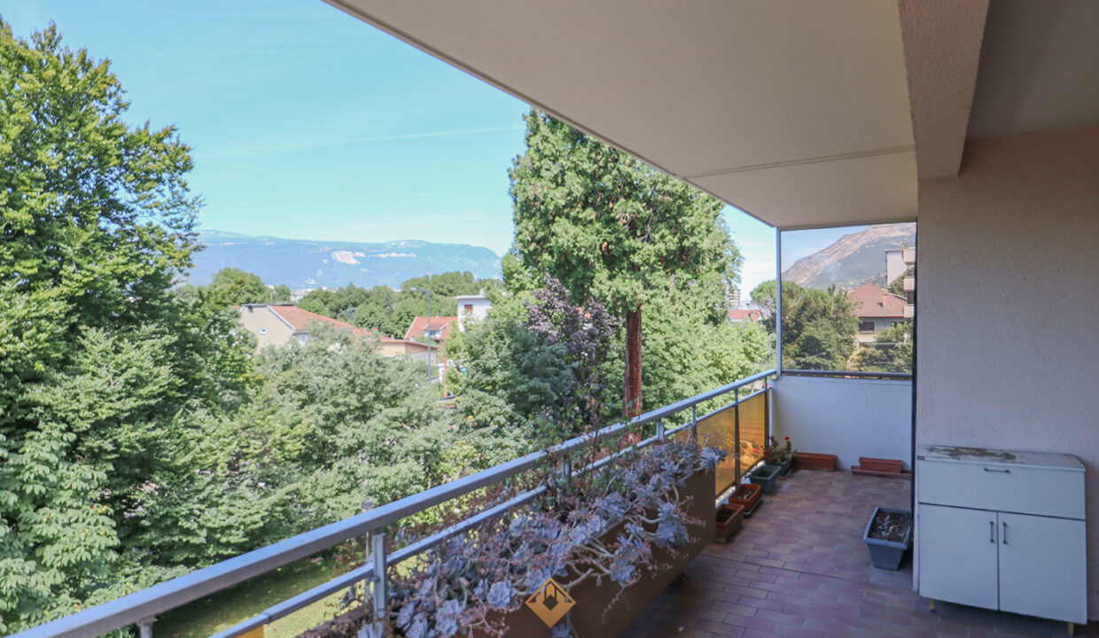 immobilier-grenoble