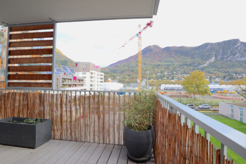 immobilier-grenoble