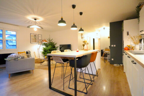 immobilier-grenoble