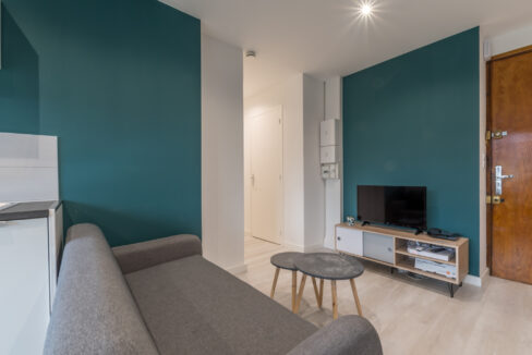 immobilier-grenoble-3