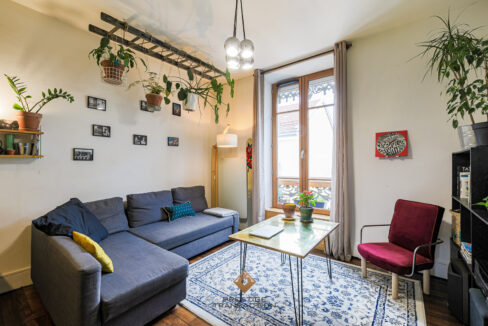 immobilier-grenoble-3