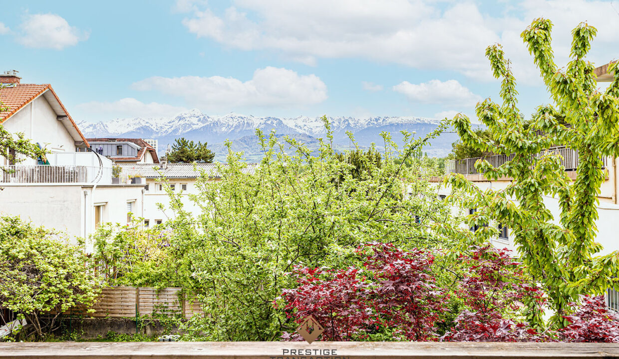 immobilier-grenoble-4