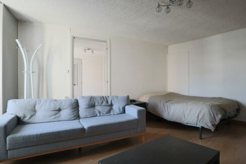 immobilier-grenoble-6