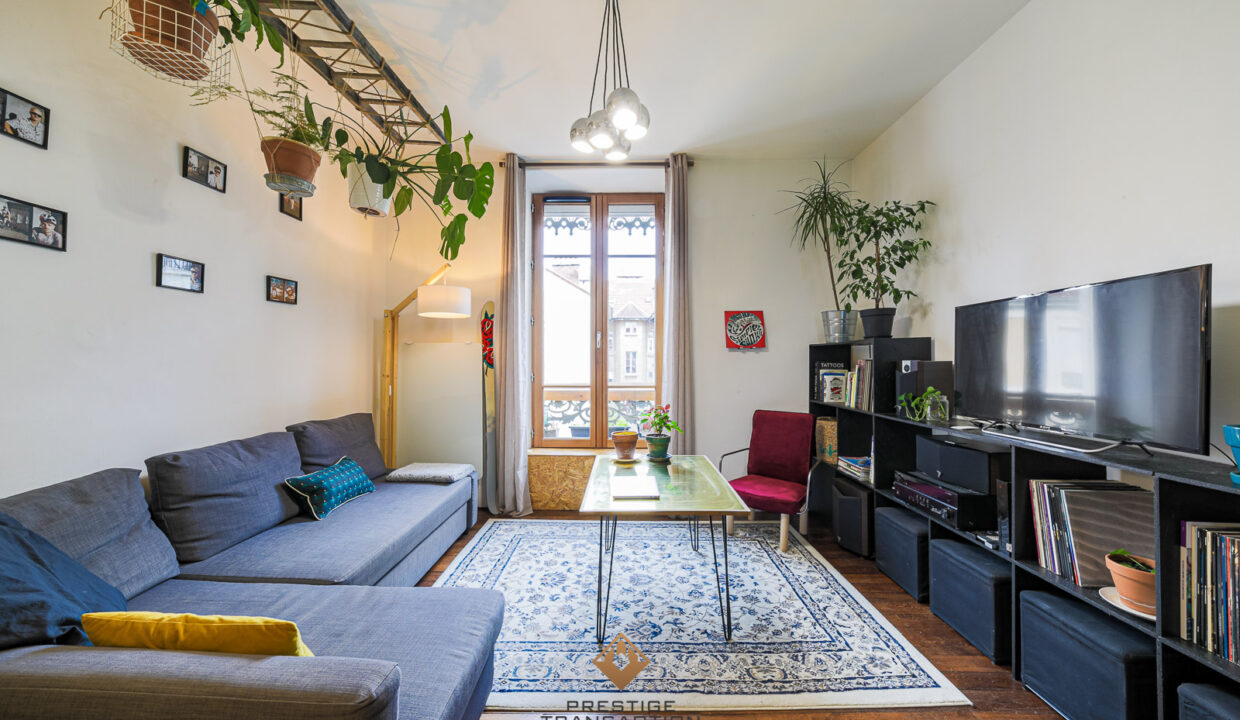 immobilier-grenoble