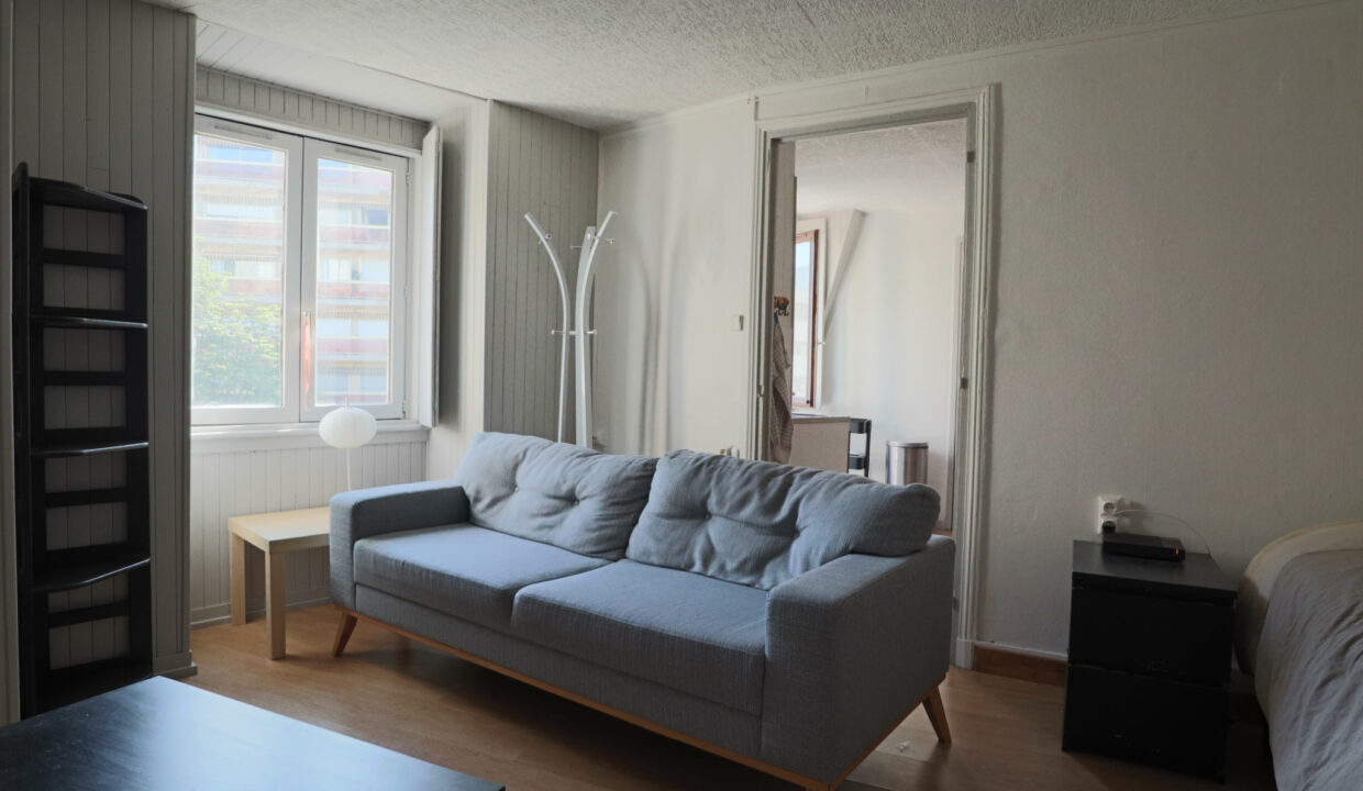 immobilier-grenoble-7