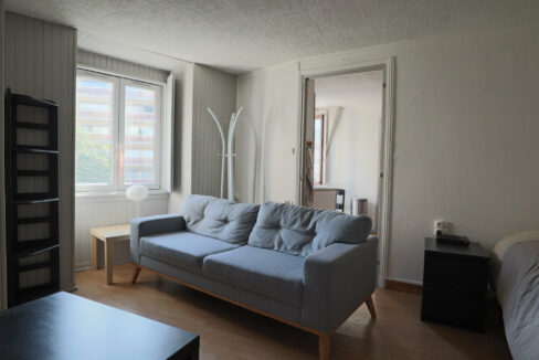 immobilier-grenoble-7