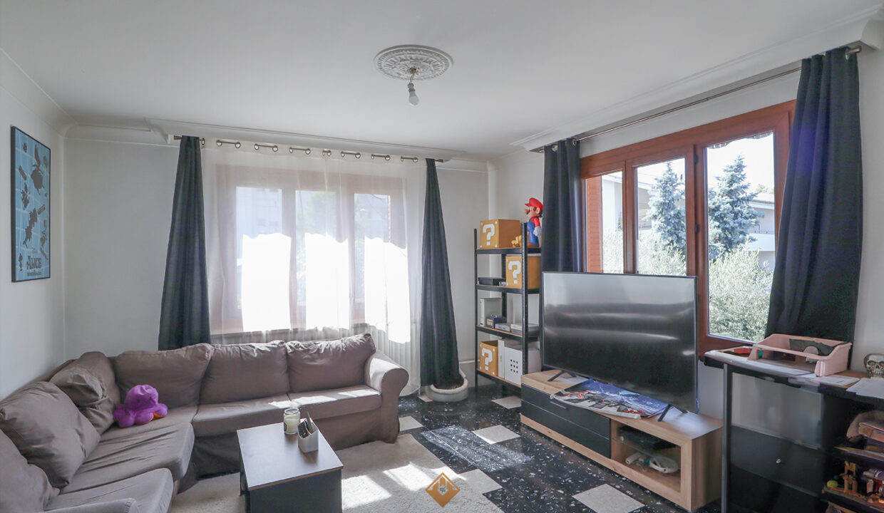 immobilier-grenoble-7