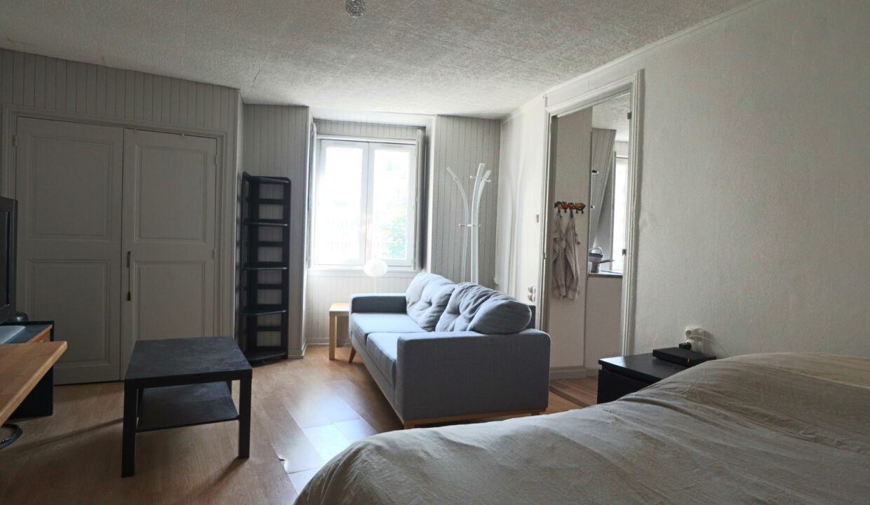 immobilier-grenoble-8