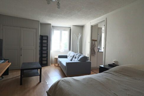 immobilier-grenoble-8