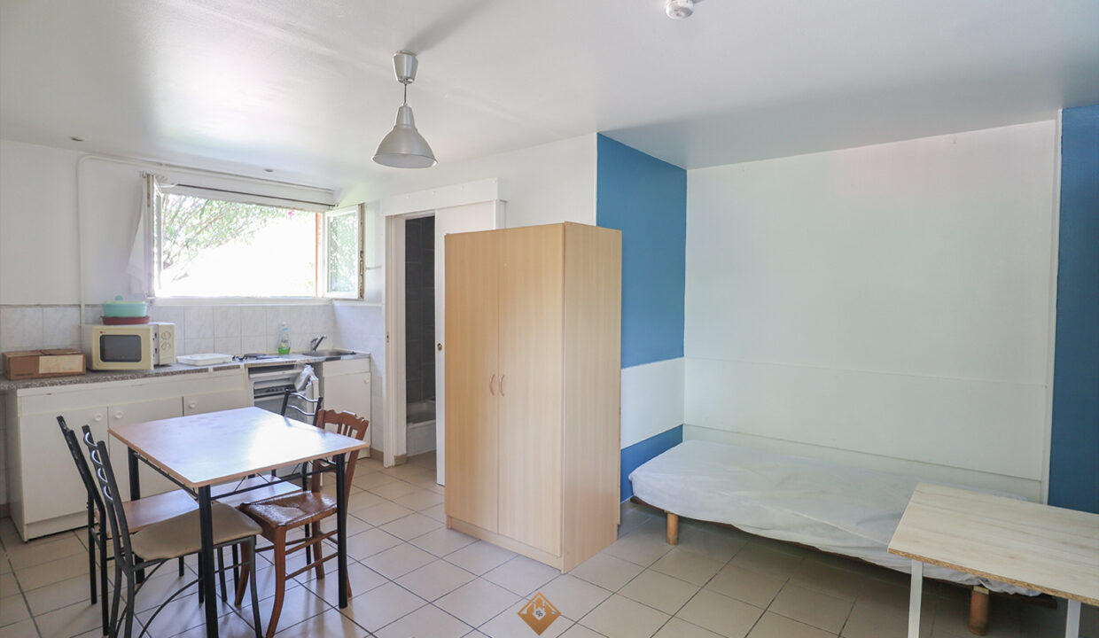 immobilier-grenoble-9