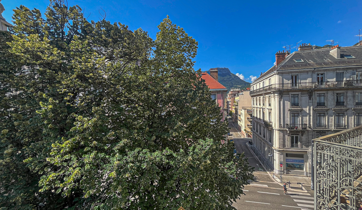 immobilier-grenoble.jpg-9