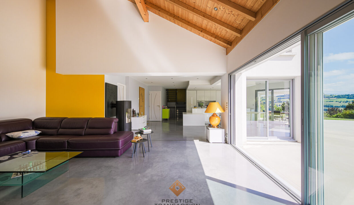 immobilier-grenoble-5