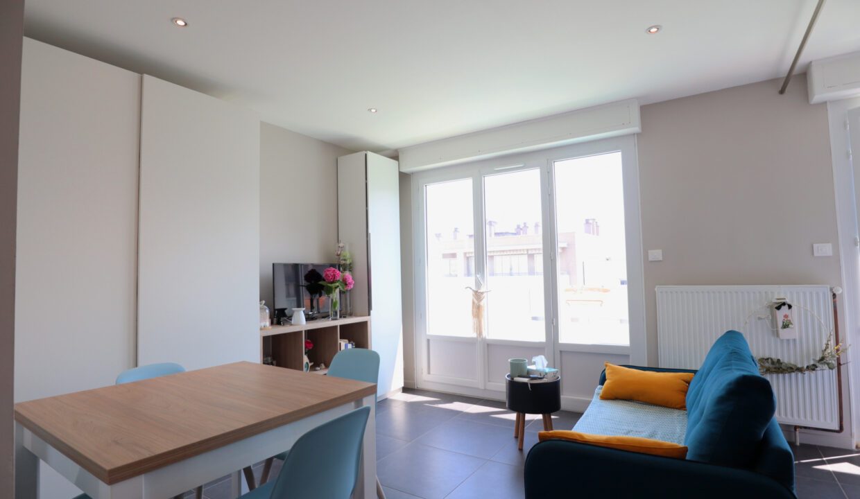 immobilier-grenoble-1