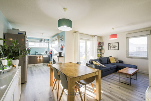 immobilier-grenoble-1