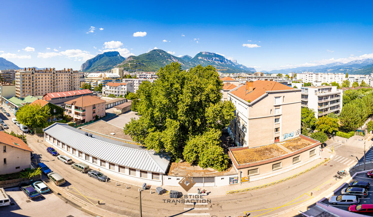 immobilier-grenoble-1