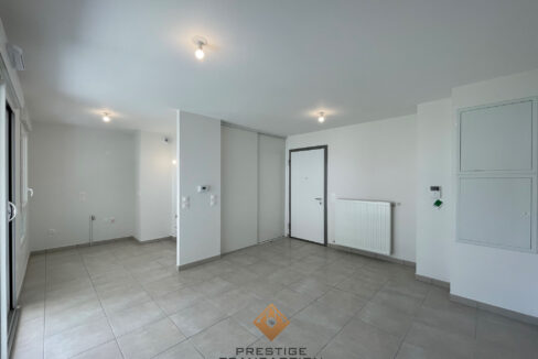 immobilier-grenoble-1