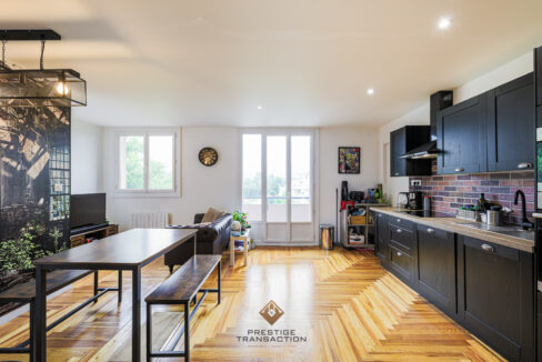 immobilier-grenoble-1