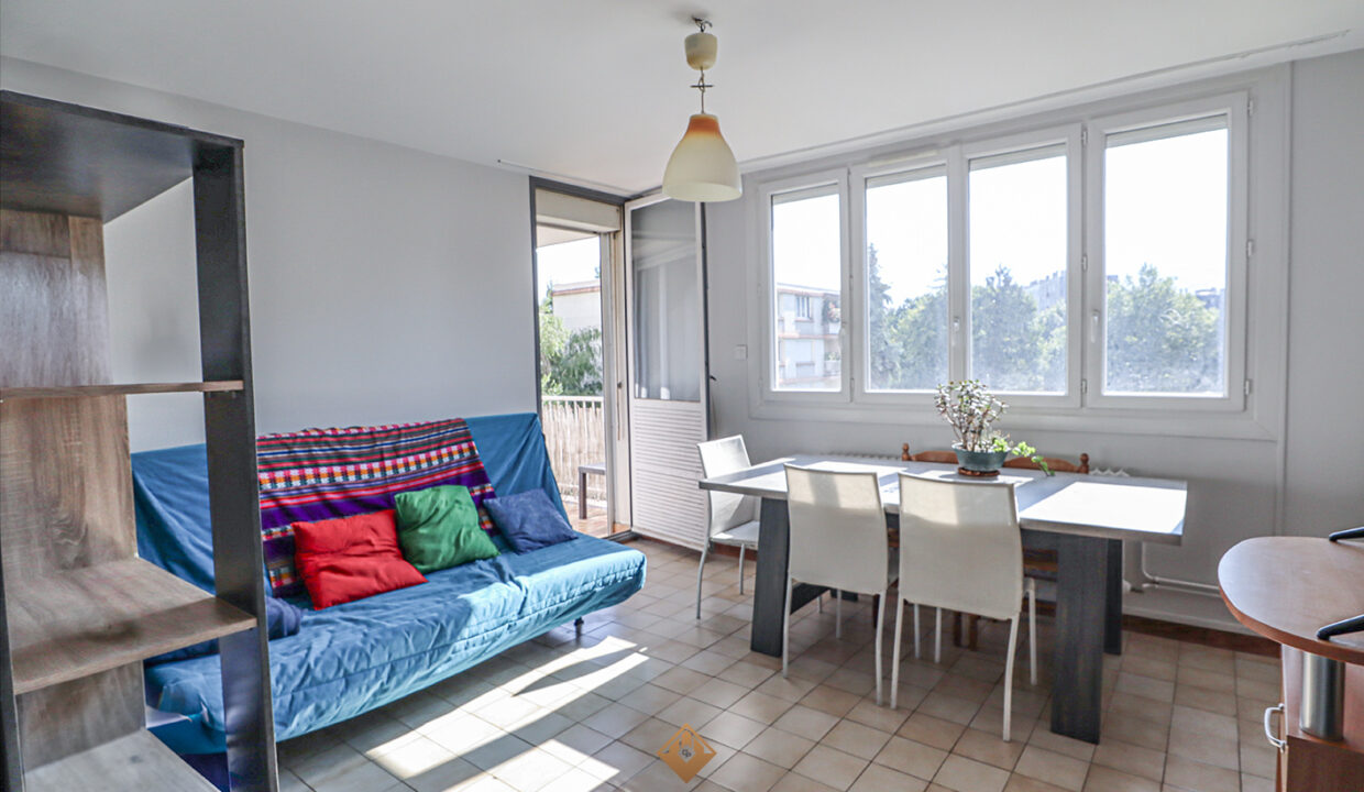 immobilier-grenoble-1