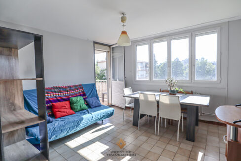 immobilier-grenoble-1