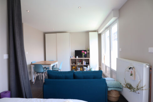 immobilier-grenoble-2