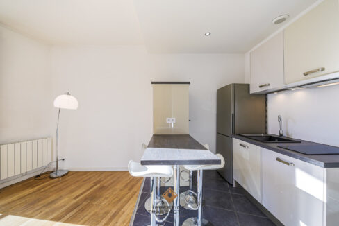 immobilier-grenoble-2