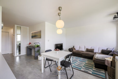 immobilier-grenoble-3