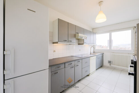 immobilier-grenoble-3