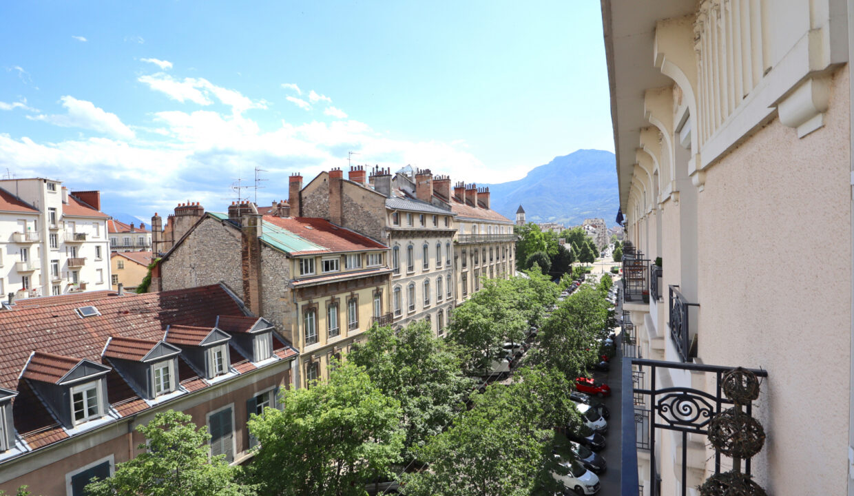 immobilier-grenoble