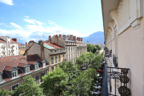 immobilier-grenoble