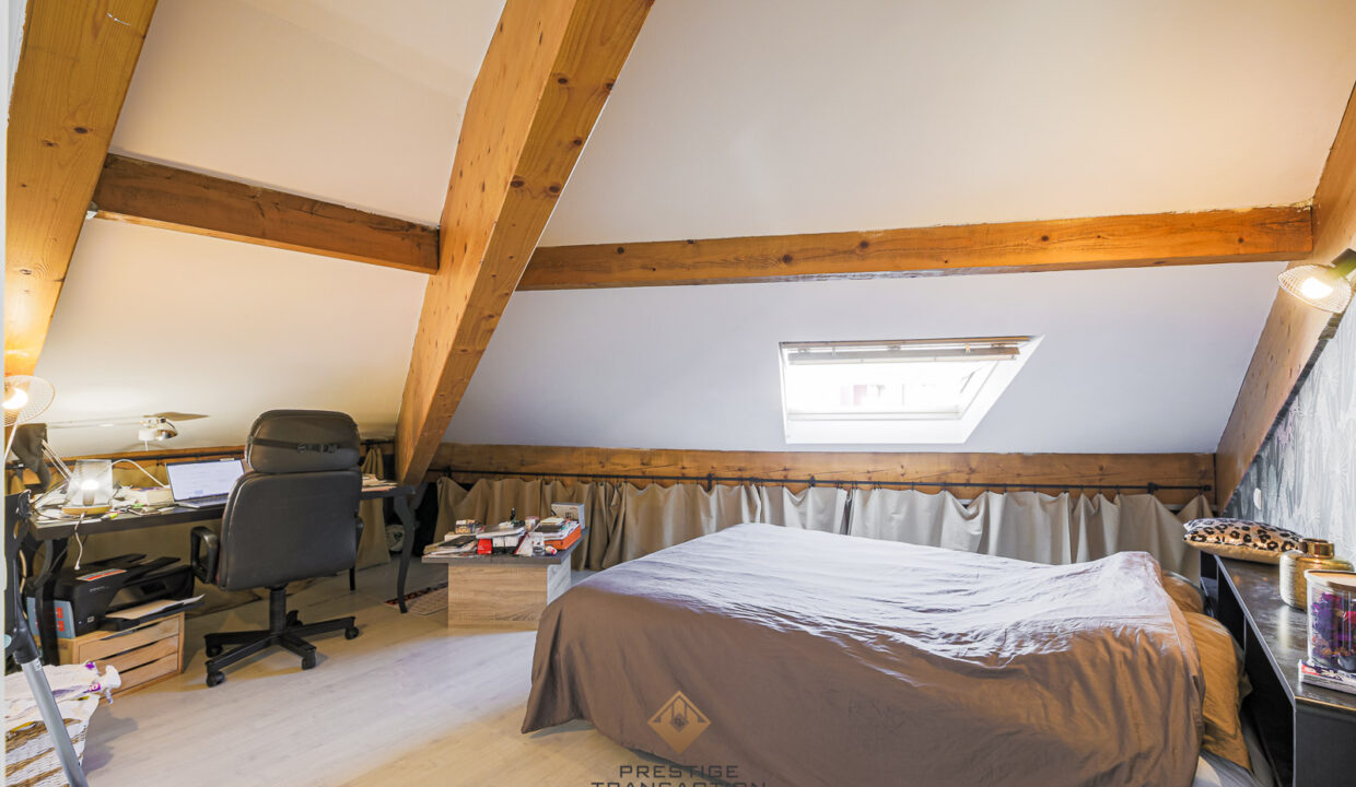 immobilier-grenoble-9