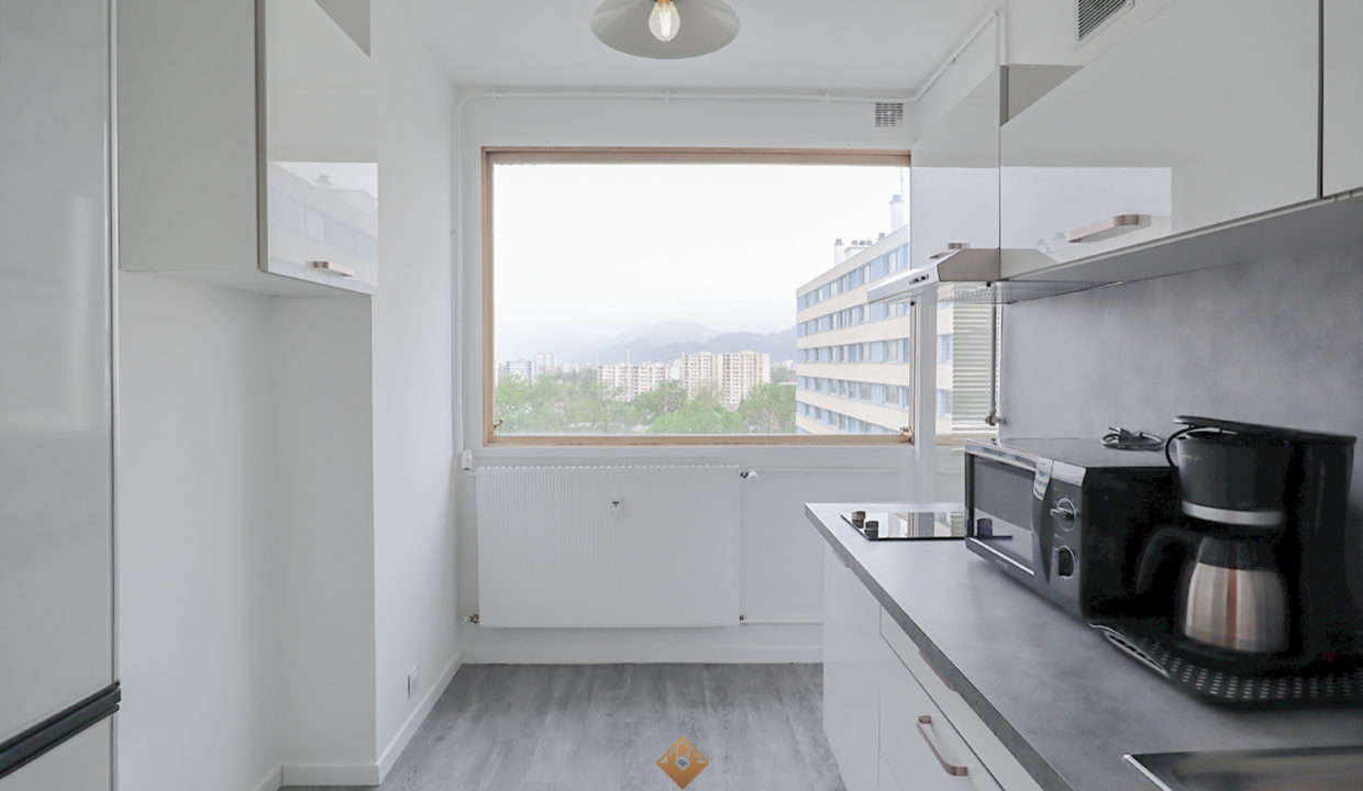 immobilier-grenoble.jpg-1