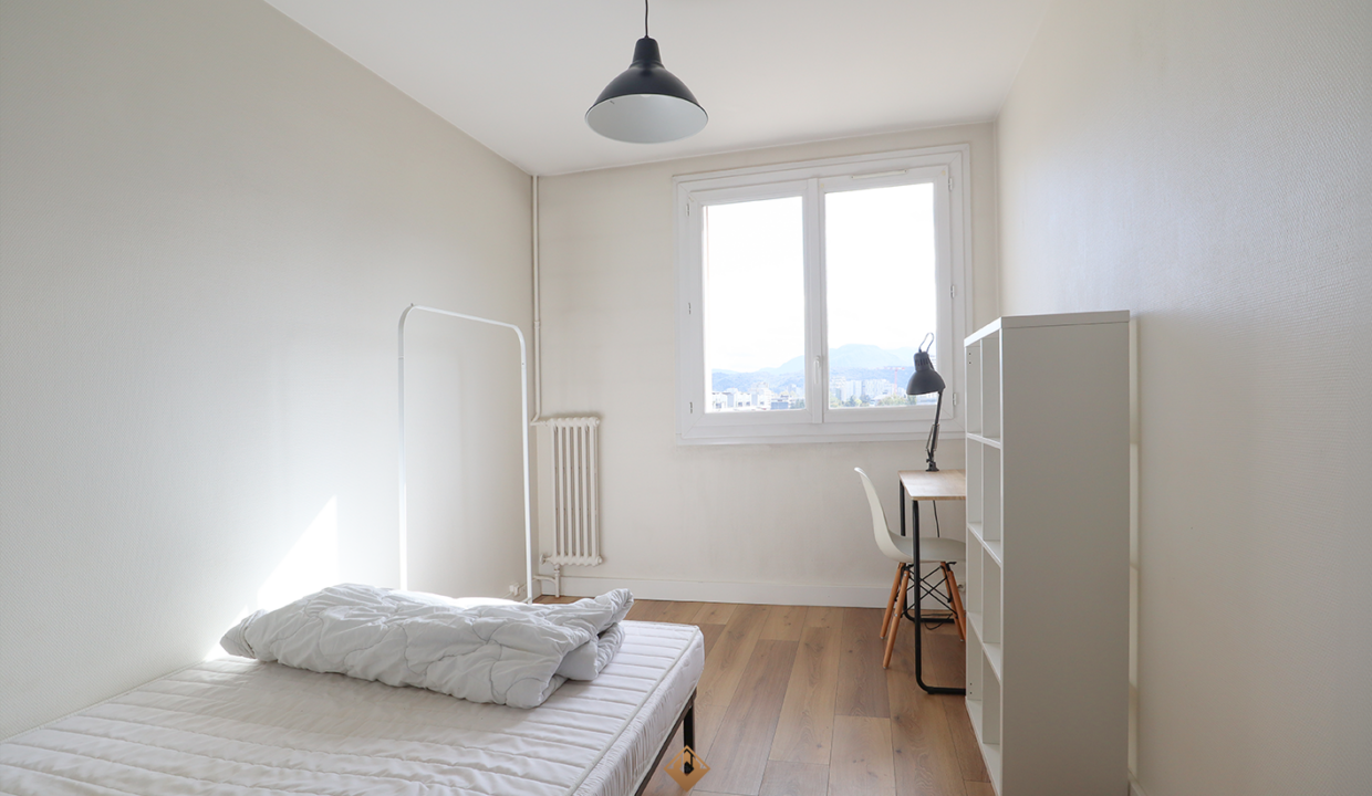 immobilier-grenoble.jpg-7