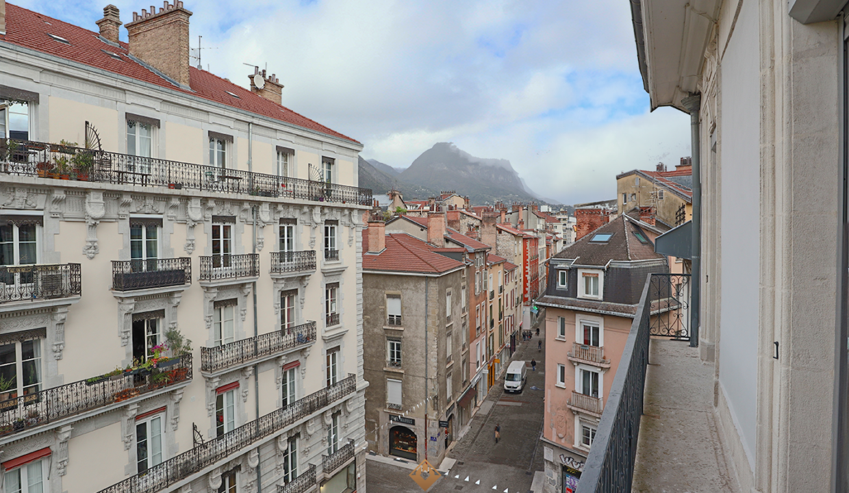 immobilier-grenoble.jpg-9