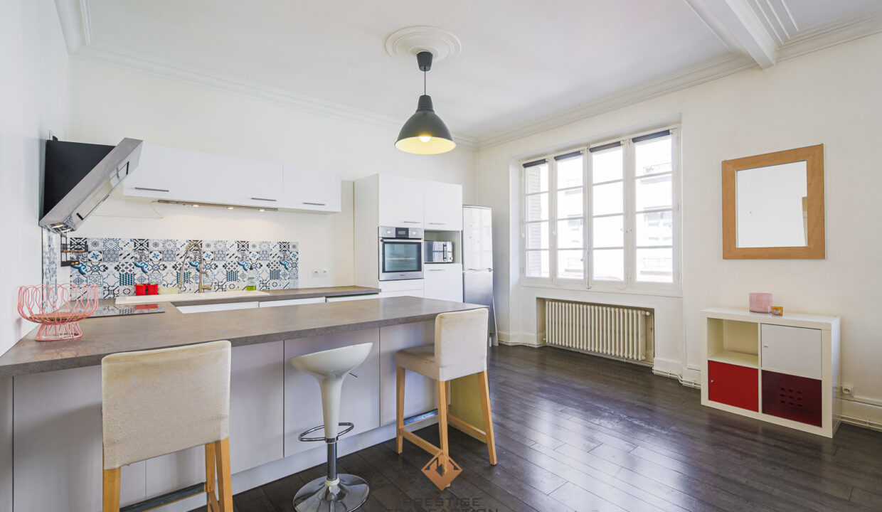 immobilier-grenoble-1