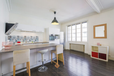 immobilier-grenoble-1