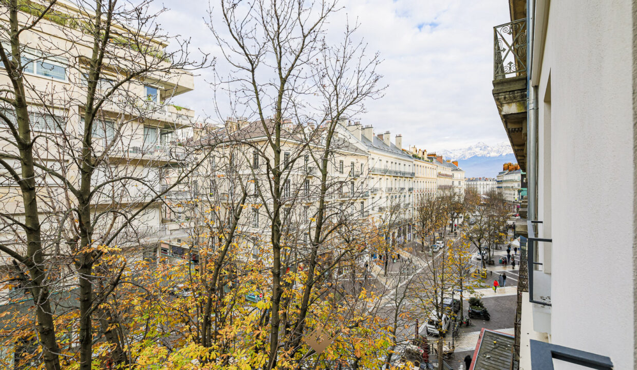 immobilier-grenoble