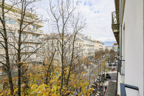 immobilier-grenoble