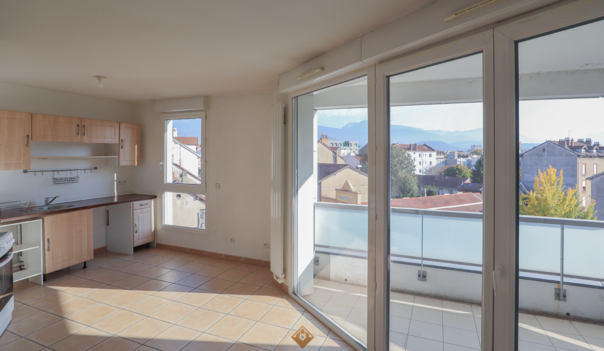 immobilier-grenoble.jpg-1