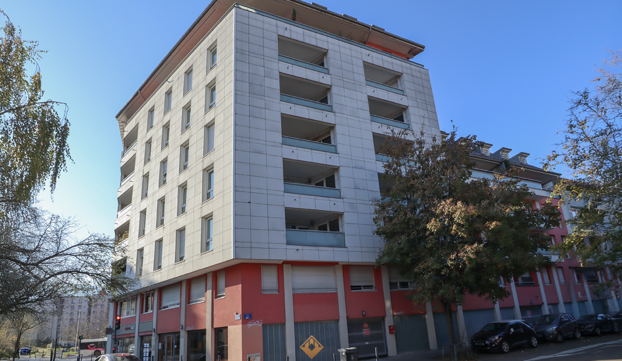 immobilier-grenoble.jpg-8