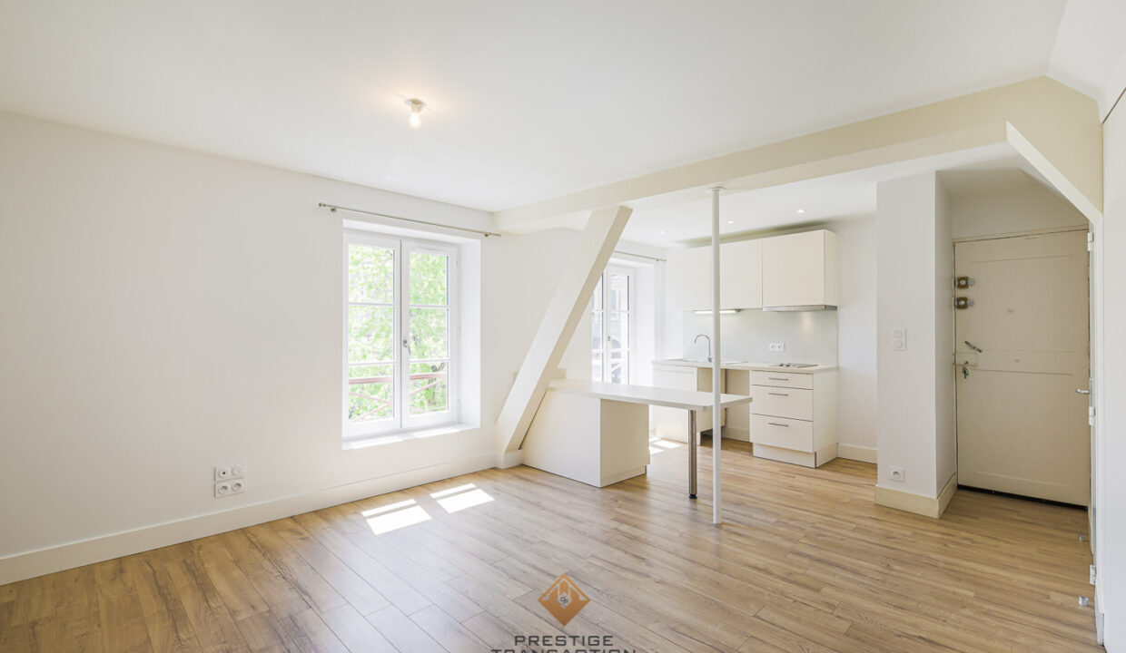 immobilier-grenoble-1