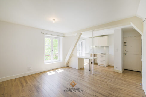 immobilier-grenoble-1